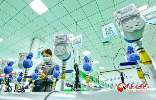 张掖甘州 以绿色生态工业与电子产品技术开发双轮驱动，谱写县域经济高质量发展新篇章